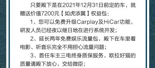 欧拉黑猫车机死机,欧拉好猫死机