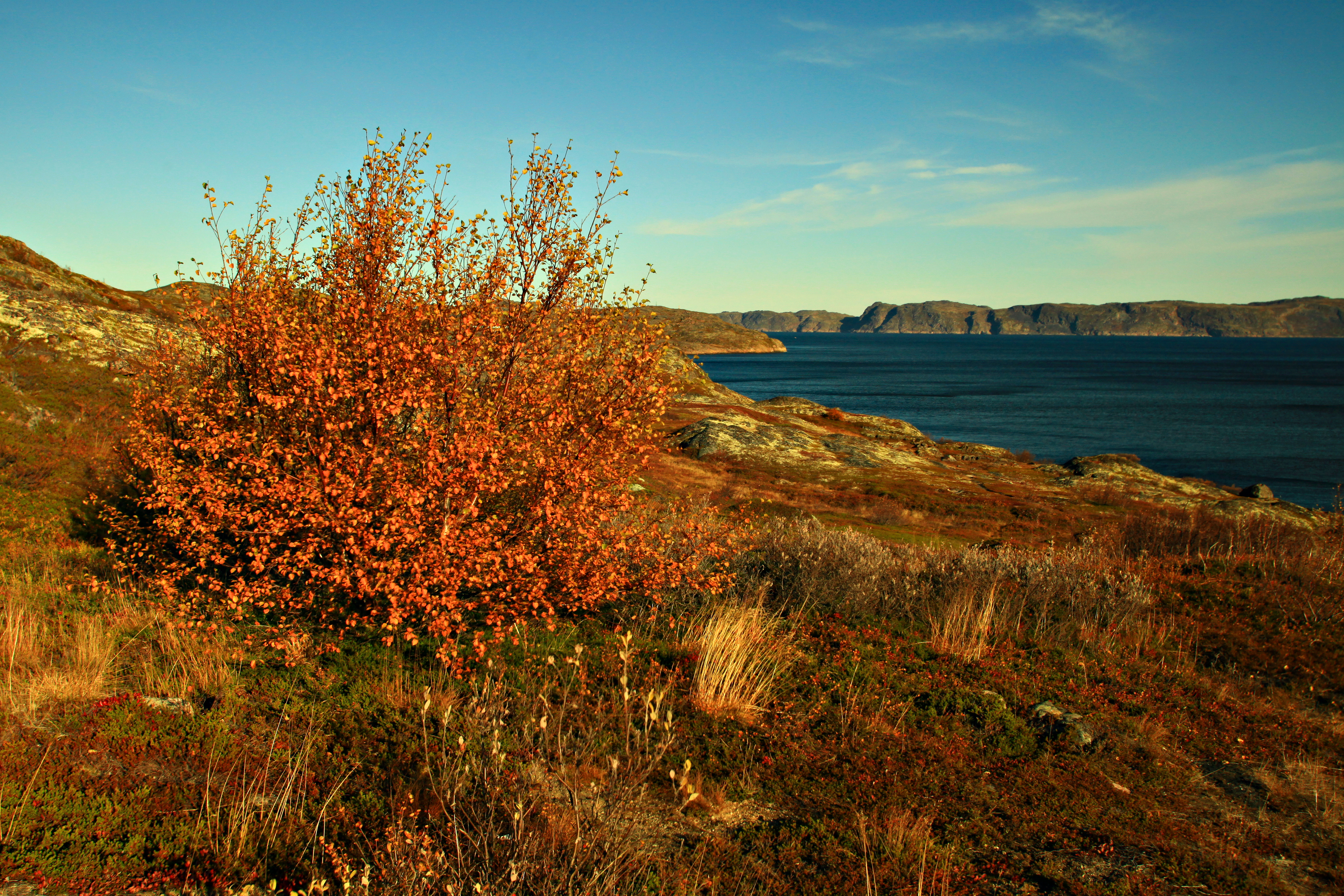 俄罗斯捷里别尔卡北冰洋,俄罗斯叶卡捷琳堡掠影