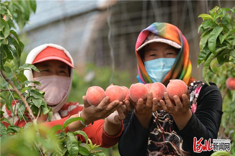 生态宜居产业兴旺生活富裕,河北围场绿色生态发展
