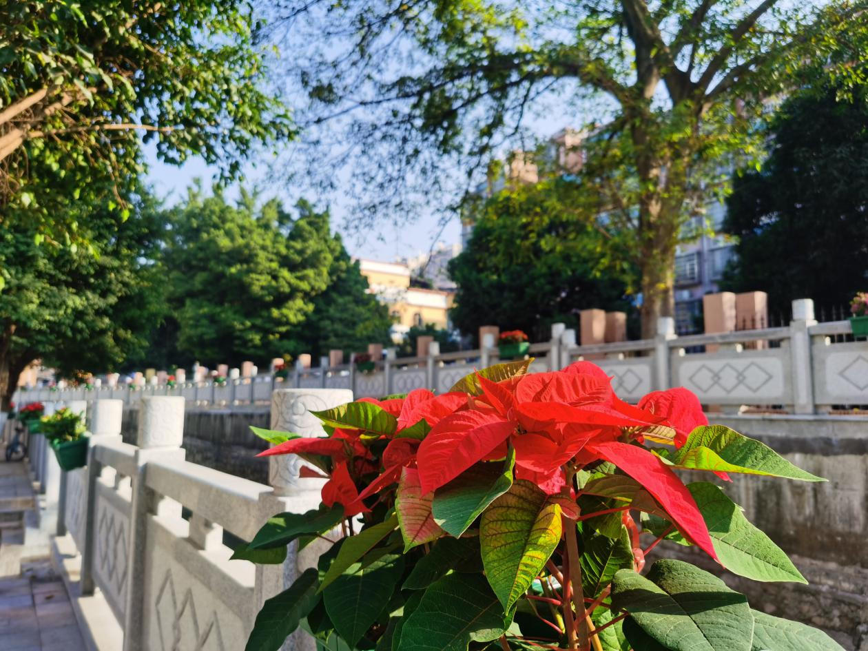 广州白云区2022年十项民生实事,白云区十件实事出炉