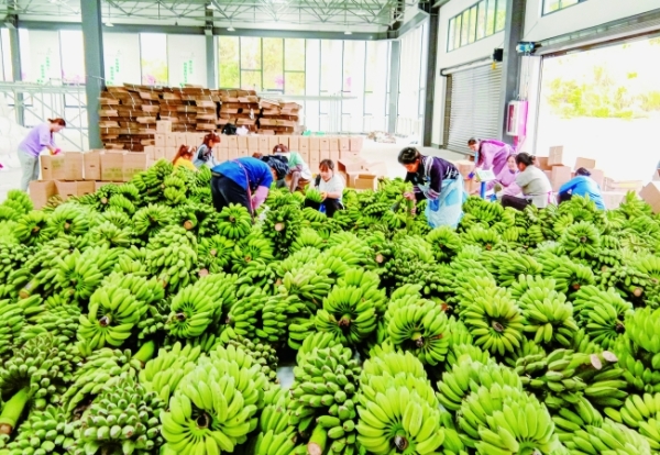 五年砥砺奋进书写振兴华章,五年砥砺创辉煌