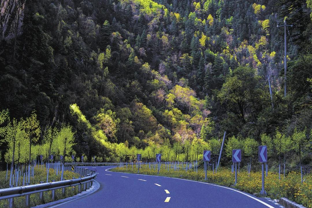 生态环境看哪里,生态看小米