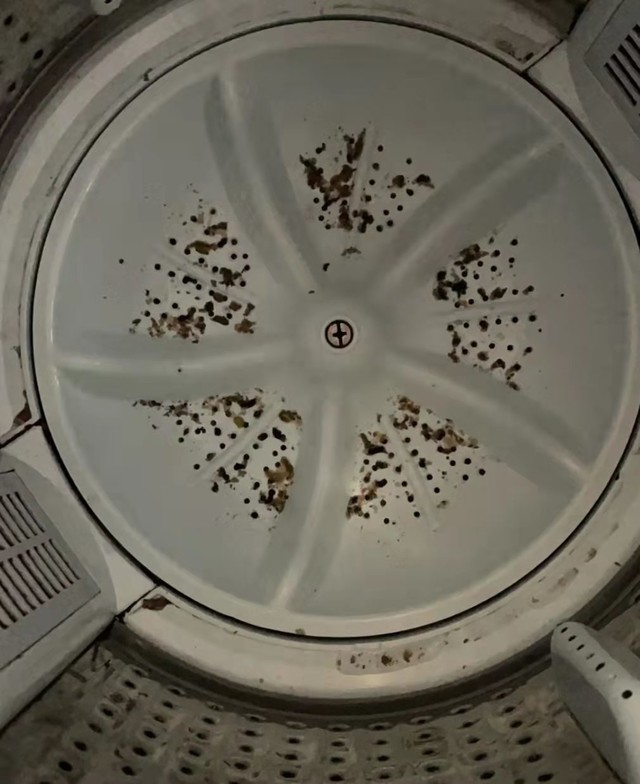 衣服洗完了怎么弄干,衣服清洗妙招家政