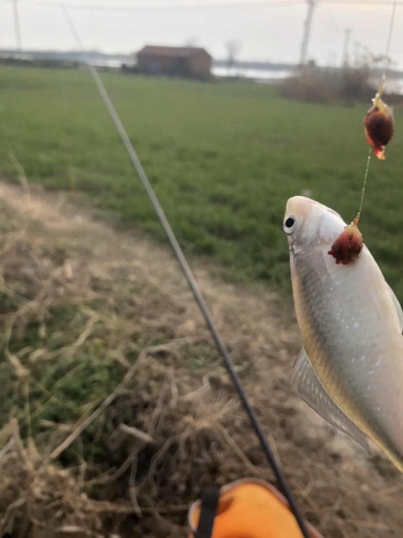 冰钓沉浸式体验,第一次体验冰钓视频