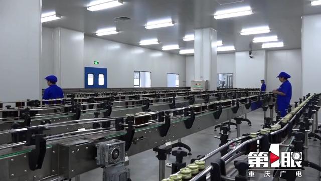 秀山武陵锰业最新消息,秀山锰都大酒店早期图片