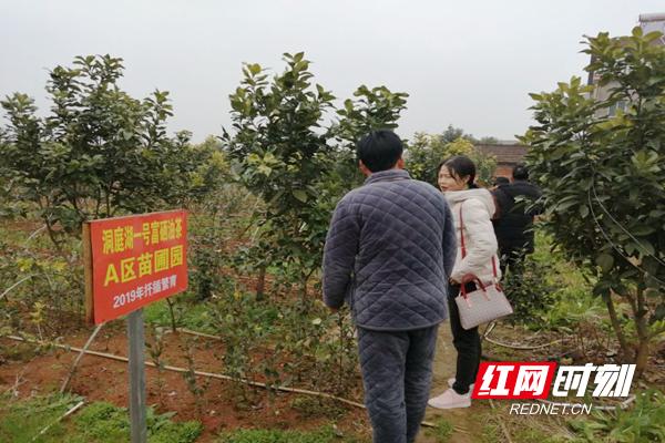 常德西湖:田园村里林果香科技创新奔富路