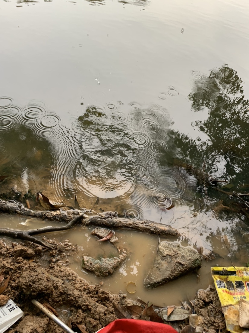野钓鲫鱼爆护的最佳方法,冬季野钓鲫鱼小鱼闹窝严重怎么办