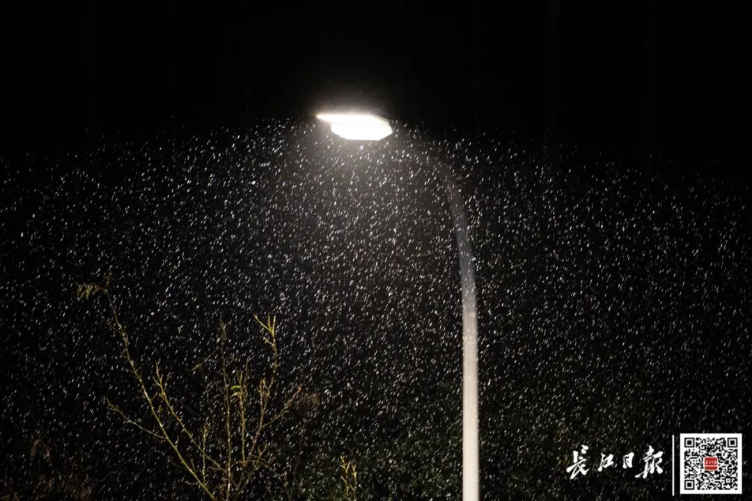 早安武汉｜一觉醒来，武汉真下雪了！他们从昨晚一直守到现在……