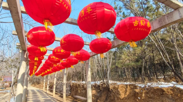 年货年味大礼包,年味大礼包