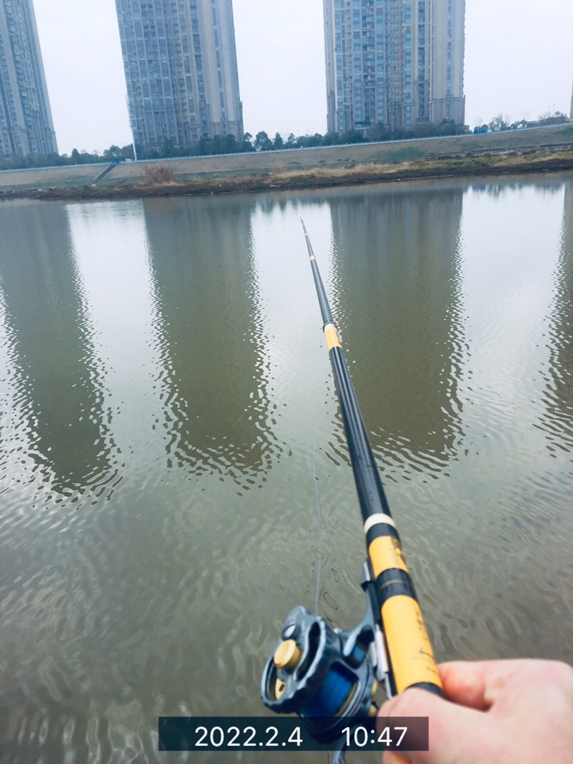 用老婆的菜篮子装新年的第一“金”