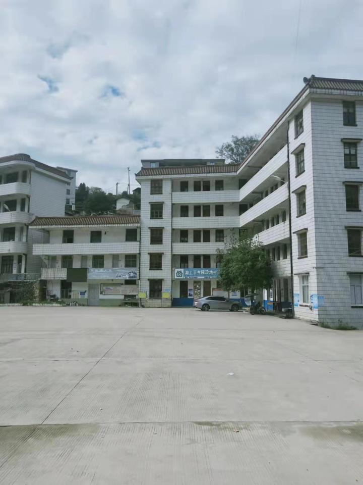 阅读在乡野的流年