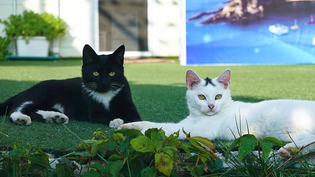 北纬海边游玩攻略,深度海岛游玩攻略