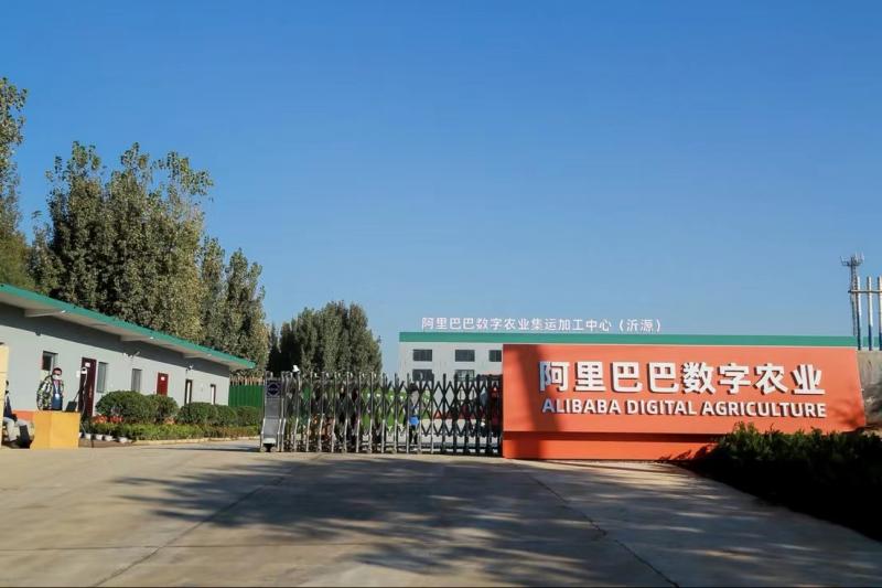 农产品电商数字化发展趋势,农产品流通业的发展