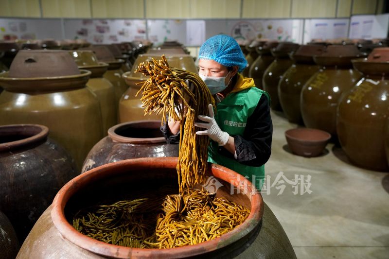 螺蛳粉配料包酸豆角,柳州螺蛳粉的配料和制作方法