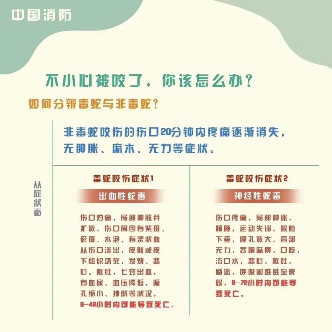 广东天气热怎样预防蛇出没,天气炎热蛇怎么处理