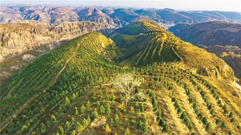 高质量发展的榆林答卷,榆林进入高质量发展新阶段