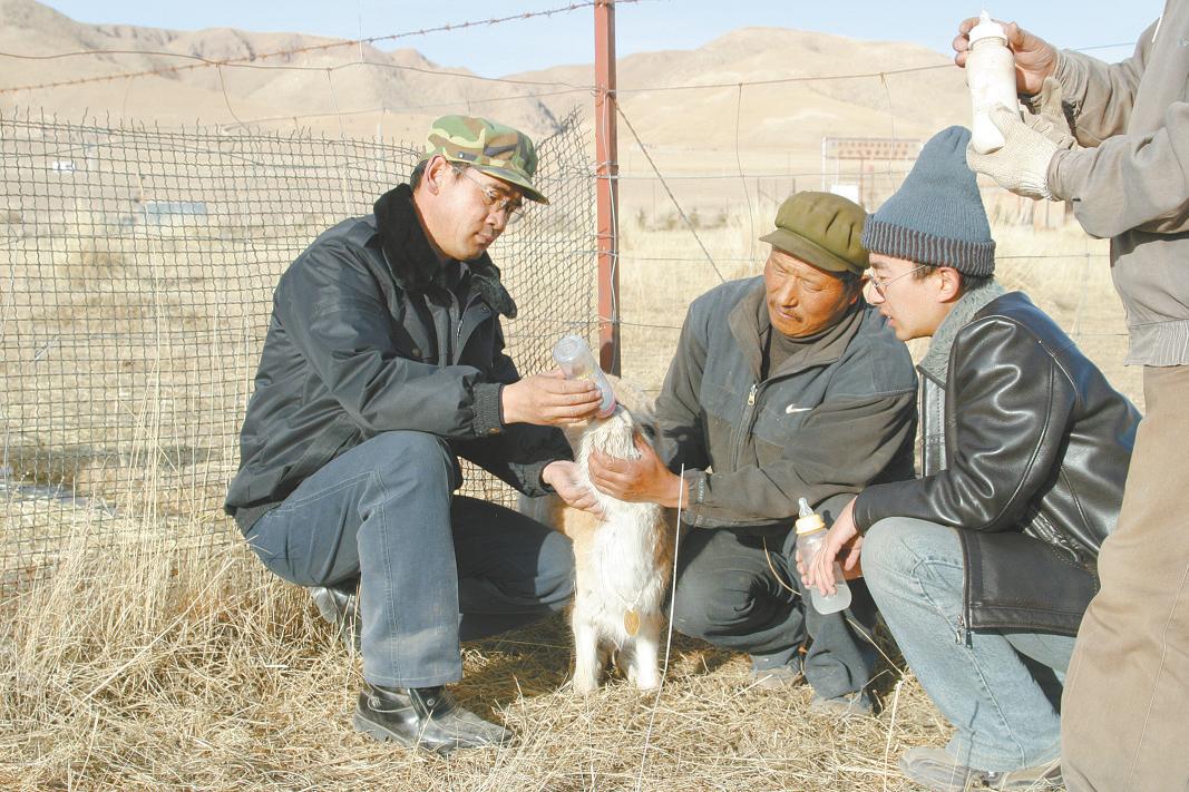 吴永林甘肃,吴永林红安