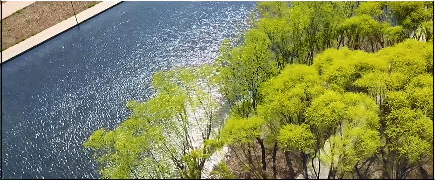 万壑争流，珠玑升腾千百年来，济南这个泉始终静泊着清幽的向往