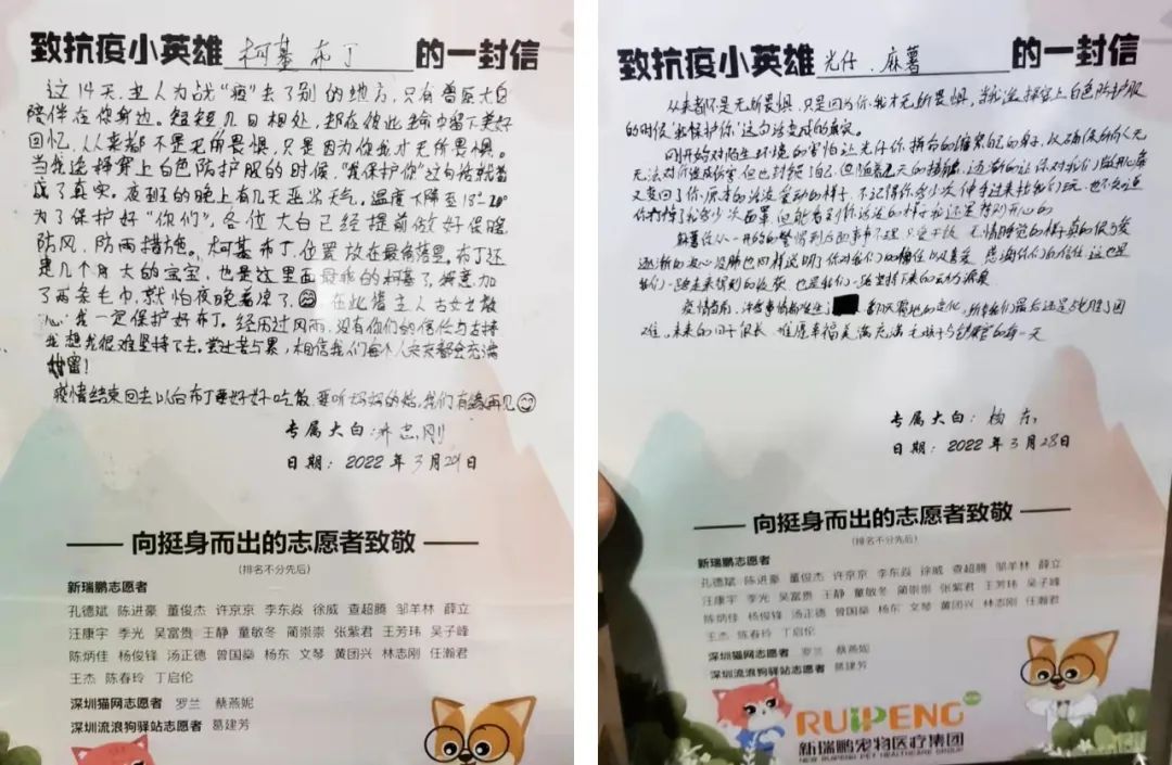 揭秘全国首个“宠物方舱”：揭秘全国首个“宠物方舱”：它们过得怎么样？它们过得怎么样？