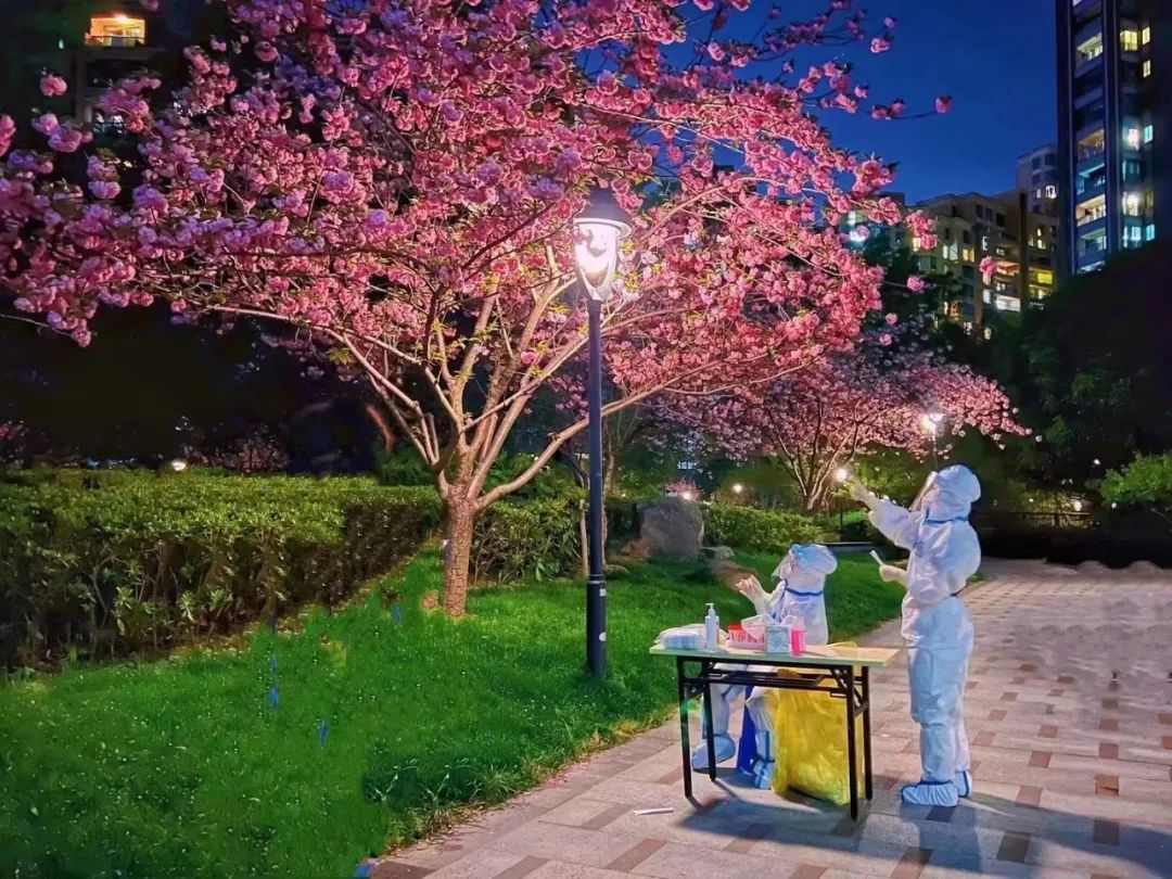 今天,上理工的核酸检测现场,闪动着安徽“大白”的身影,那是驰援的力量……