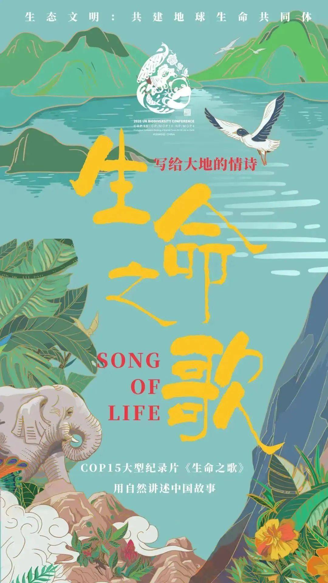 中国人独有的浪漫纪录片,中国人特有的浪漫纪录片