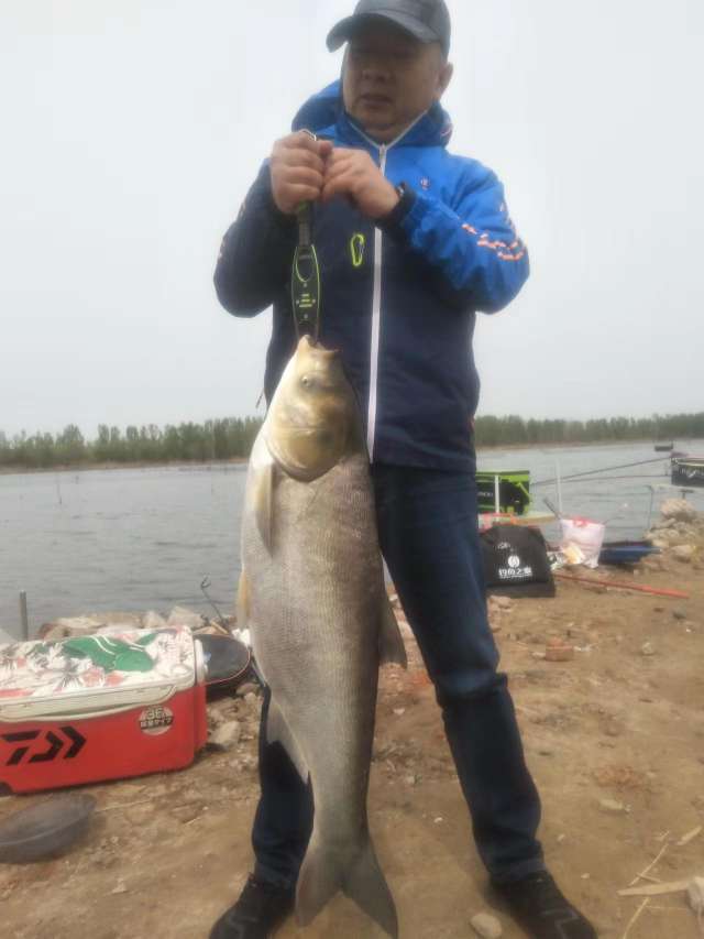 收获400斤巨鱼视频,四月收获记录