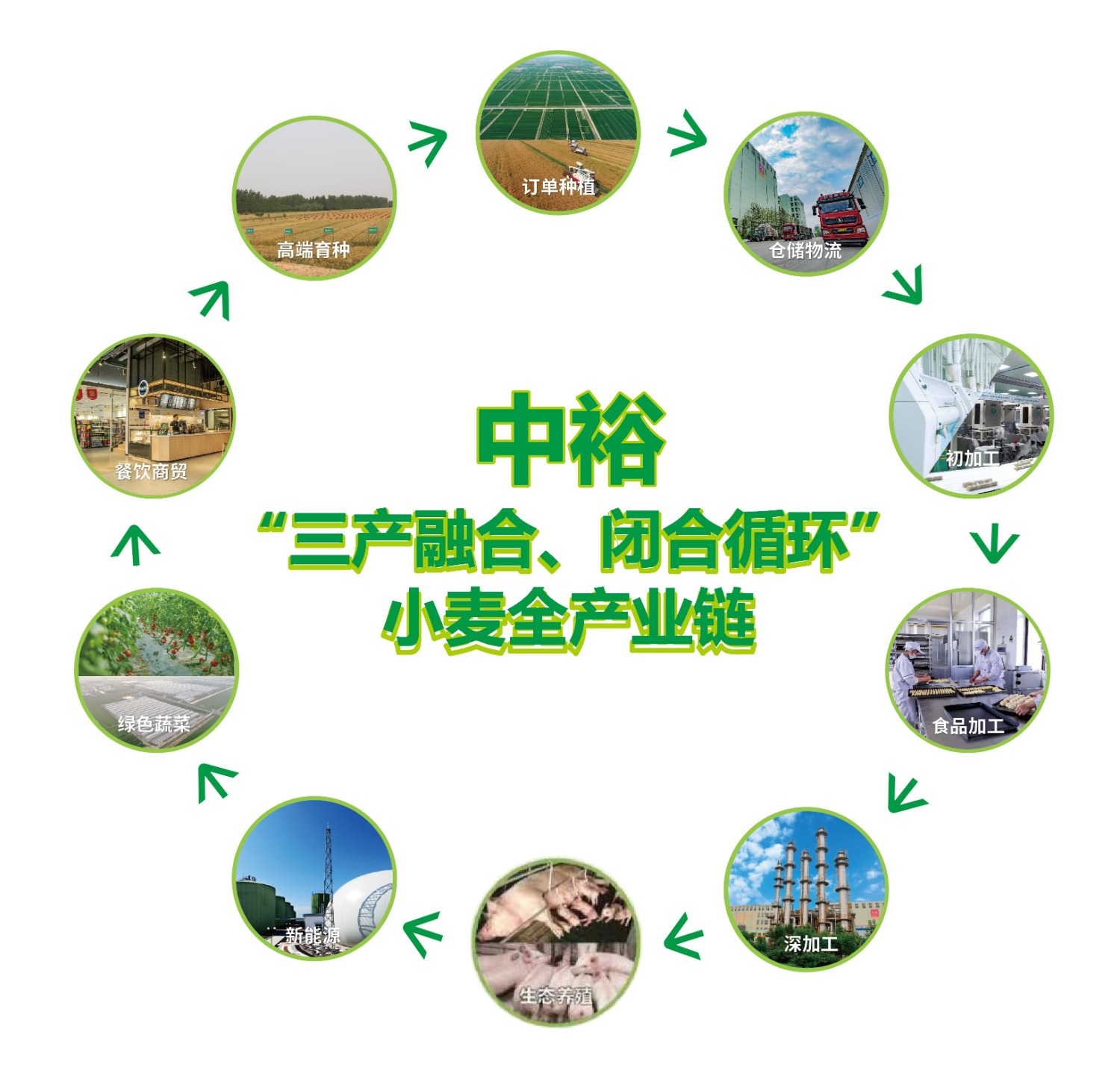 新华财经报道|看滨州中裕如何“向疫而行”实现民族担当