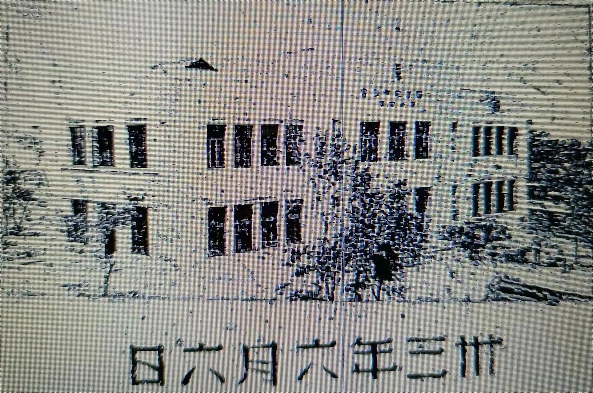 「奔流文化·闲谭」兰州中山林：今天的这条马路百年前可是一片树林