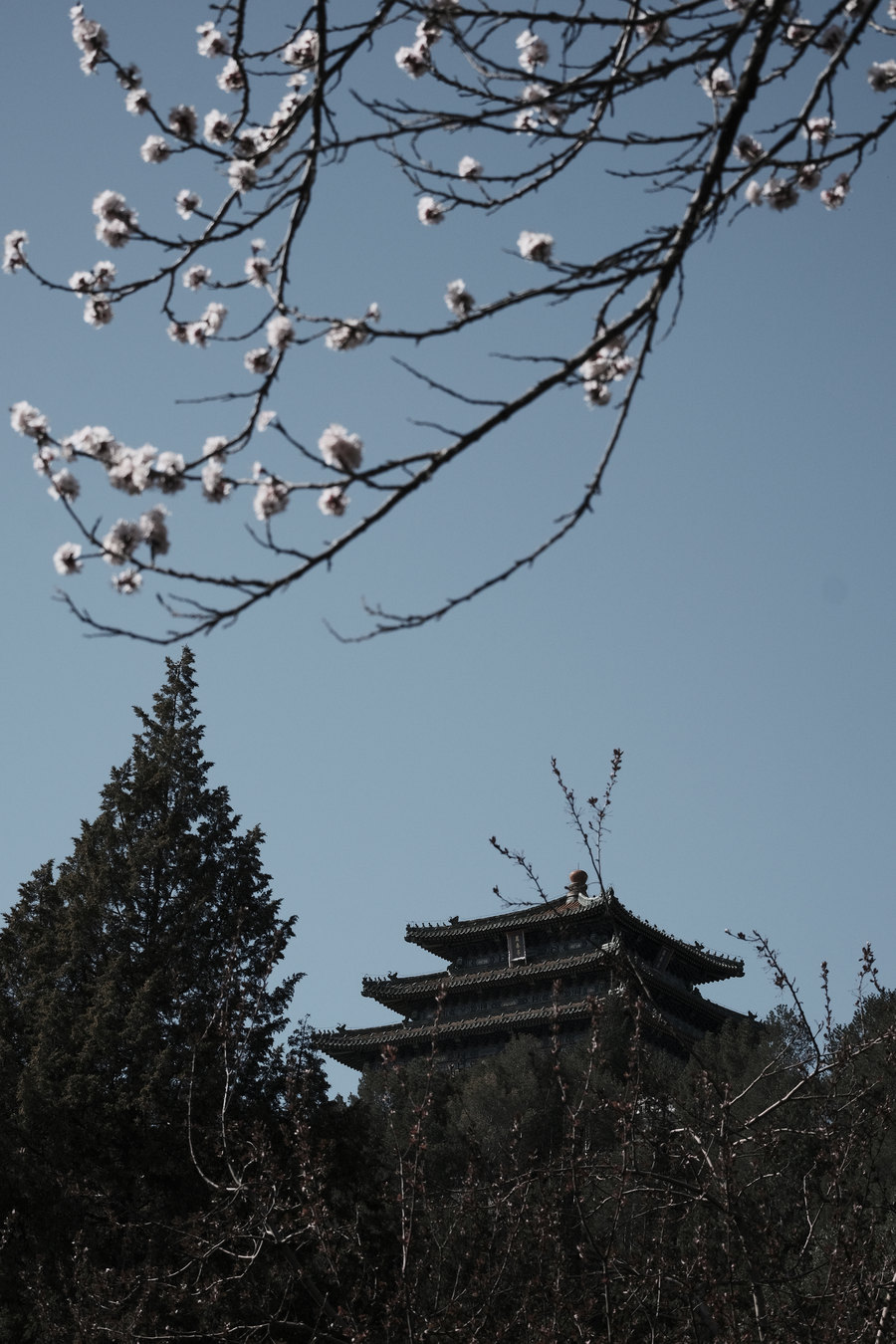 瀵屽＋x鍗″彛150-600,瀵屽＋x鍗″彛23mm鎺ㄨ崘