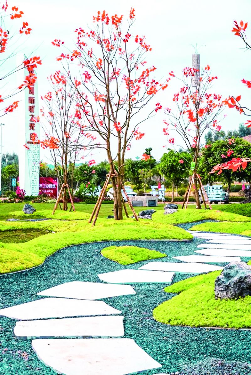 醉美露营地,开发区露营地推荐