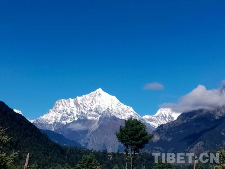 致敬高原上的守护者图片,致敬风雪路上守护者