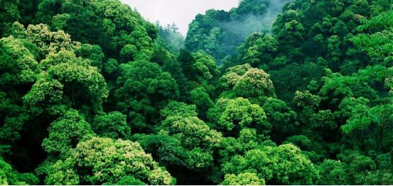 江西是好地方山清水秀人更美,大美江西景色秀