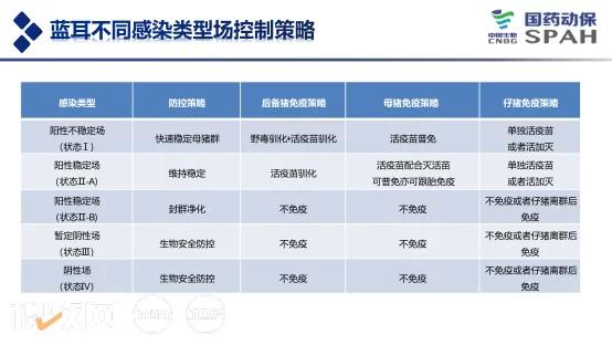 徐敏：实现安全性和免疫原性的平衡，PC株疫苗安全性极佳，可用于蓝耳病的防控和净化