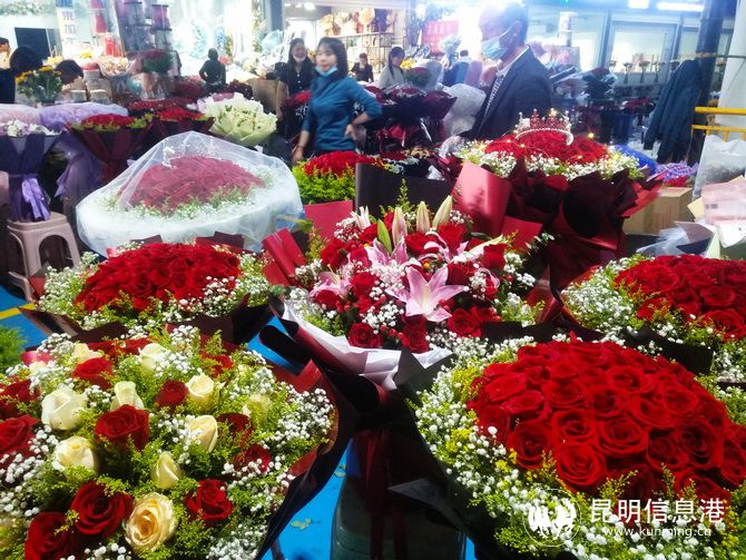 斗南花市鲜花今天价,斗南花卉市场红玫瑰今日花价