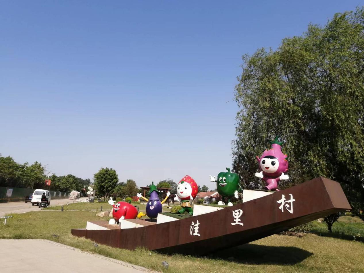 从空壳村逆袭为示范村,从贫困村到乡村蝶变