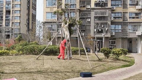 马蜂窝最佳驱蜂方法,马蜂窝的正确驱蜂方法