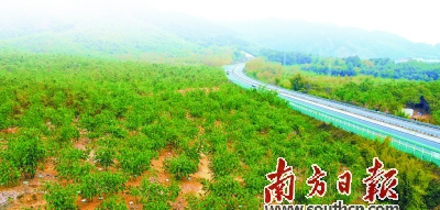 笋要剥到哪里,笋到家了前面一句是什么