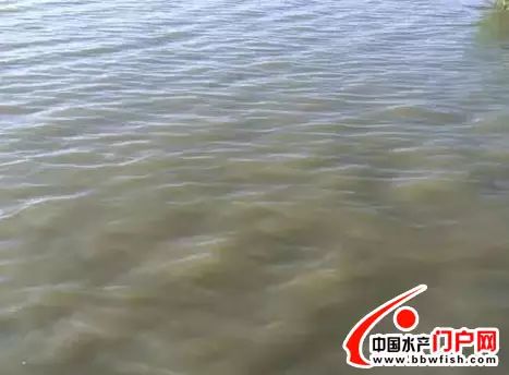 鍗庡崡鏆撮洦鎴愮伨,鍗庡崡鎸佺画鏆撮洦