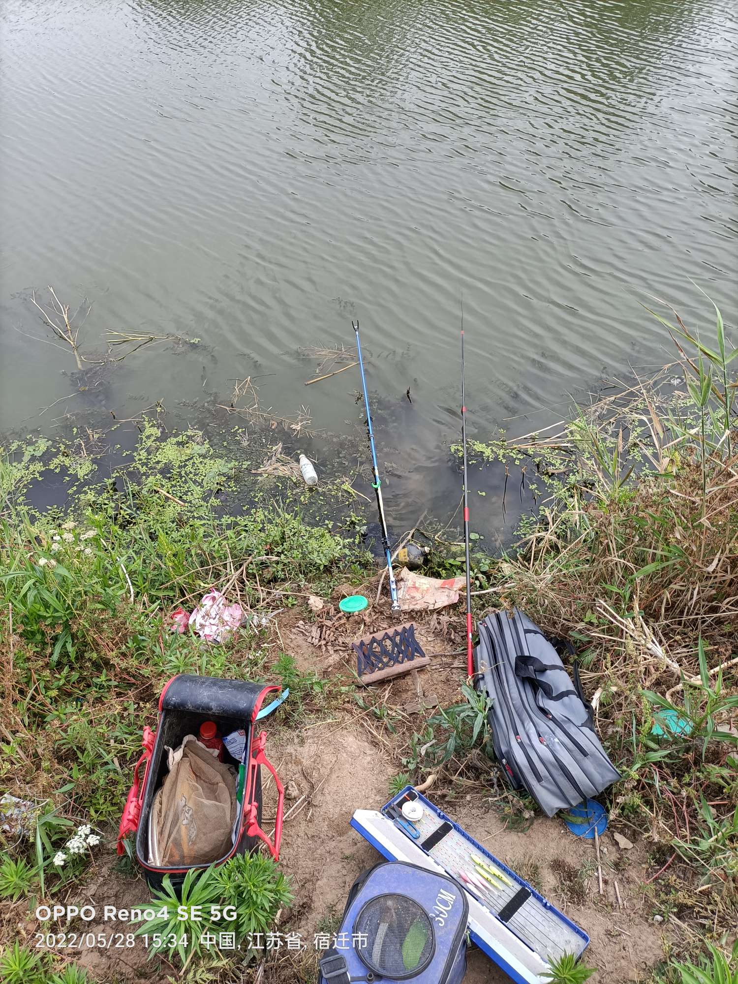 「5月鱼获」来者不拒，成功与餐条结缘