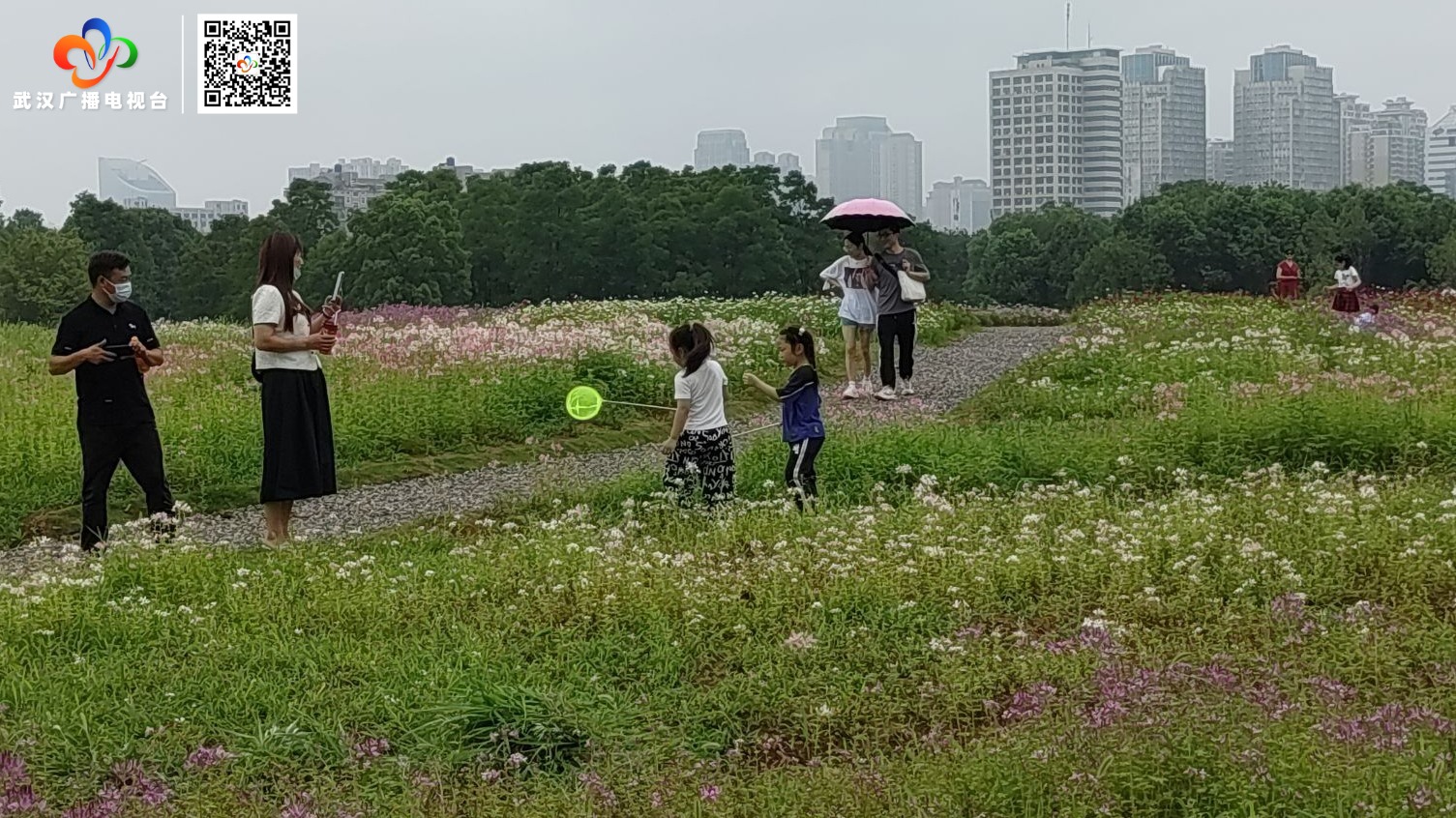 东湖马鞍山森林公园花海盛放迎客来
