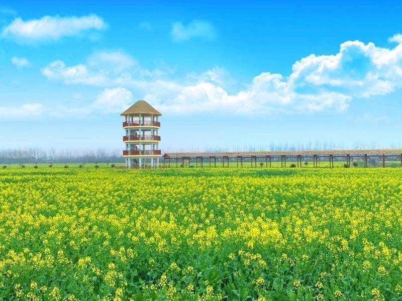 “比”出干事精气神“拼”出发展加速度——鸠江区实施“鸠”地比拼行动奋力开新局侧记