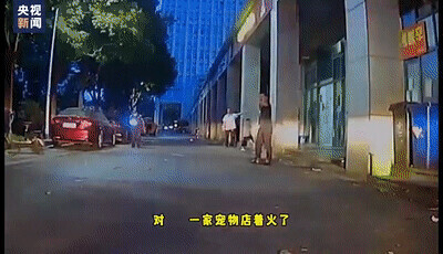 男孩冷静报警救下30只狗,男子三年前捡回一只小狗