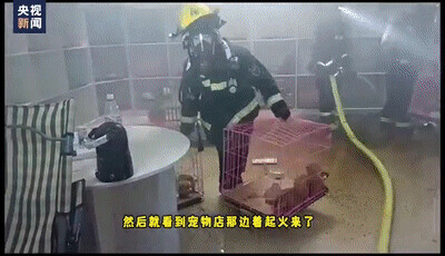 男孩冷静报警救下30只狗,男子三年前捡回一只小狗