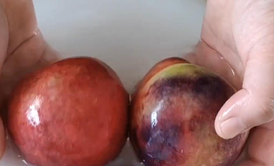 买桃子怎么样选才能让桃子不裂口,买桃子需要注意哪些