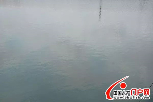 鍗庡崡鏆撮洦鎴愮伨,鍗庡崡鎸佺画鏆撮洦