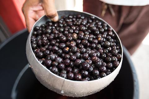 巴西阿萨伊果粉,巴西阿萨伊碗的做法