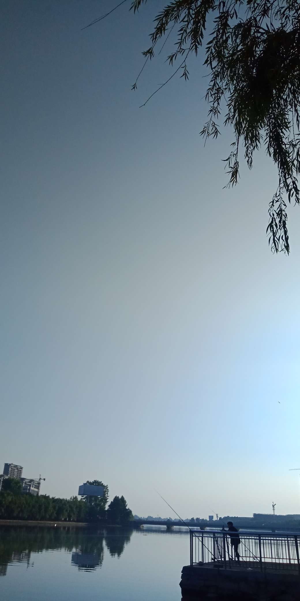 浑身亮甲如新衣，一生靓仔它美气