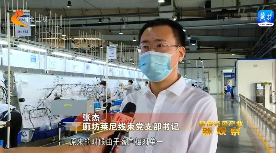 县域特色产业新观察,县域经济发展新兴产业