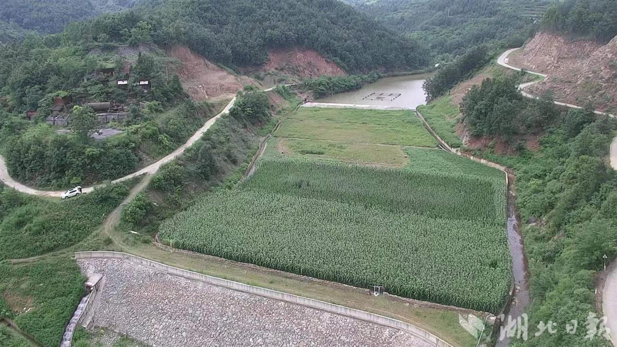 安全与“绿色”并驾齐驱，利用与富民结伴而行——十堰市74座闭（销）库尾矿库绿色转型调查