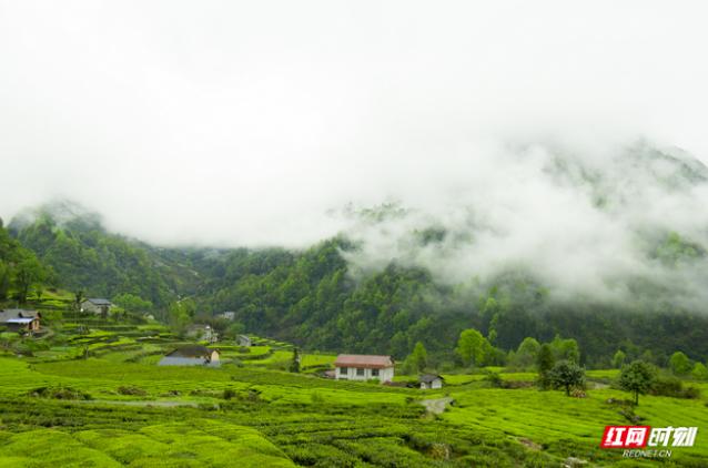 常德避暑胜地亲子游,常德避暑胜地的好地方
